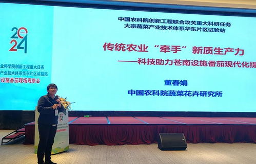 科技賦能，降本增效 中國(guó)農(nóng)科院助力設(shè)施番茄產(chǎn)業(yè)變革